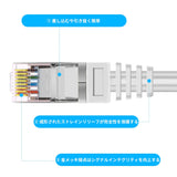将图片加载到图库查看器，LAN 电缆 30m RJ45 连接器符合 CAT6 标准的以太网电缆有线电缆适用于企业业务室外 6 类软超高速（零件） 